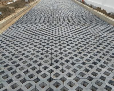 gạch số 8 trồng cỏ sân vườn ở Vĩnh Cửu