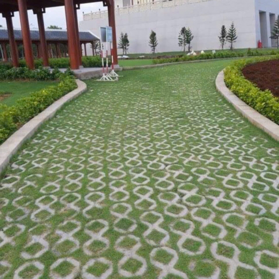 Gạch trồng cỏ số 8 giá rẻ tại đồng nai